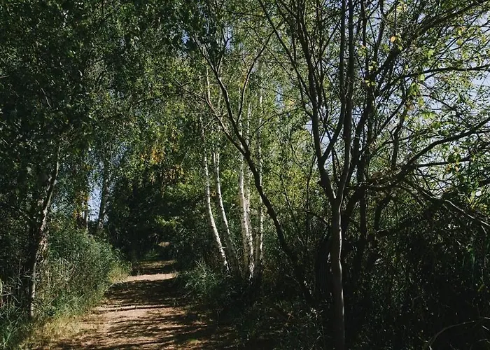 Verena Wunderlich شقة