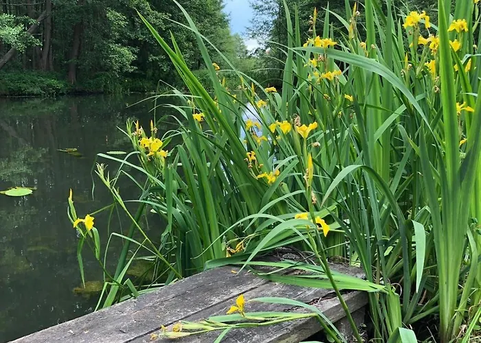 Verena Wunderlich شقة